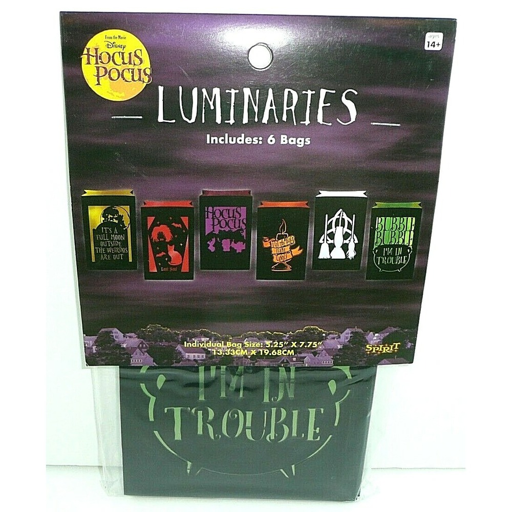 Hocus Pocus Luminaries Witch Silhouette Candle Light Sanderson Decor Halloween